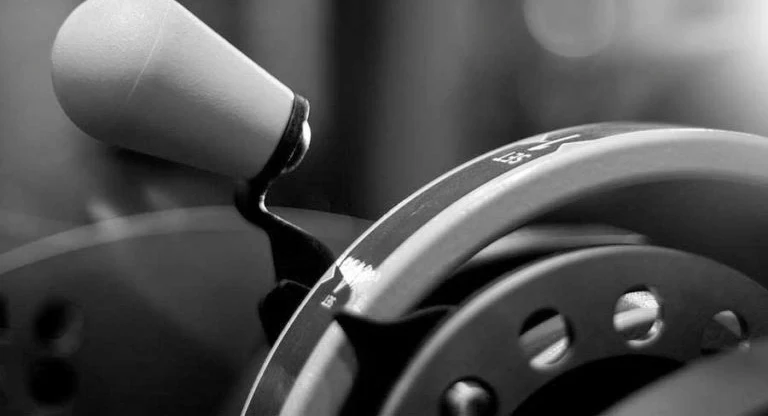 Unleash Your Inner Athlete